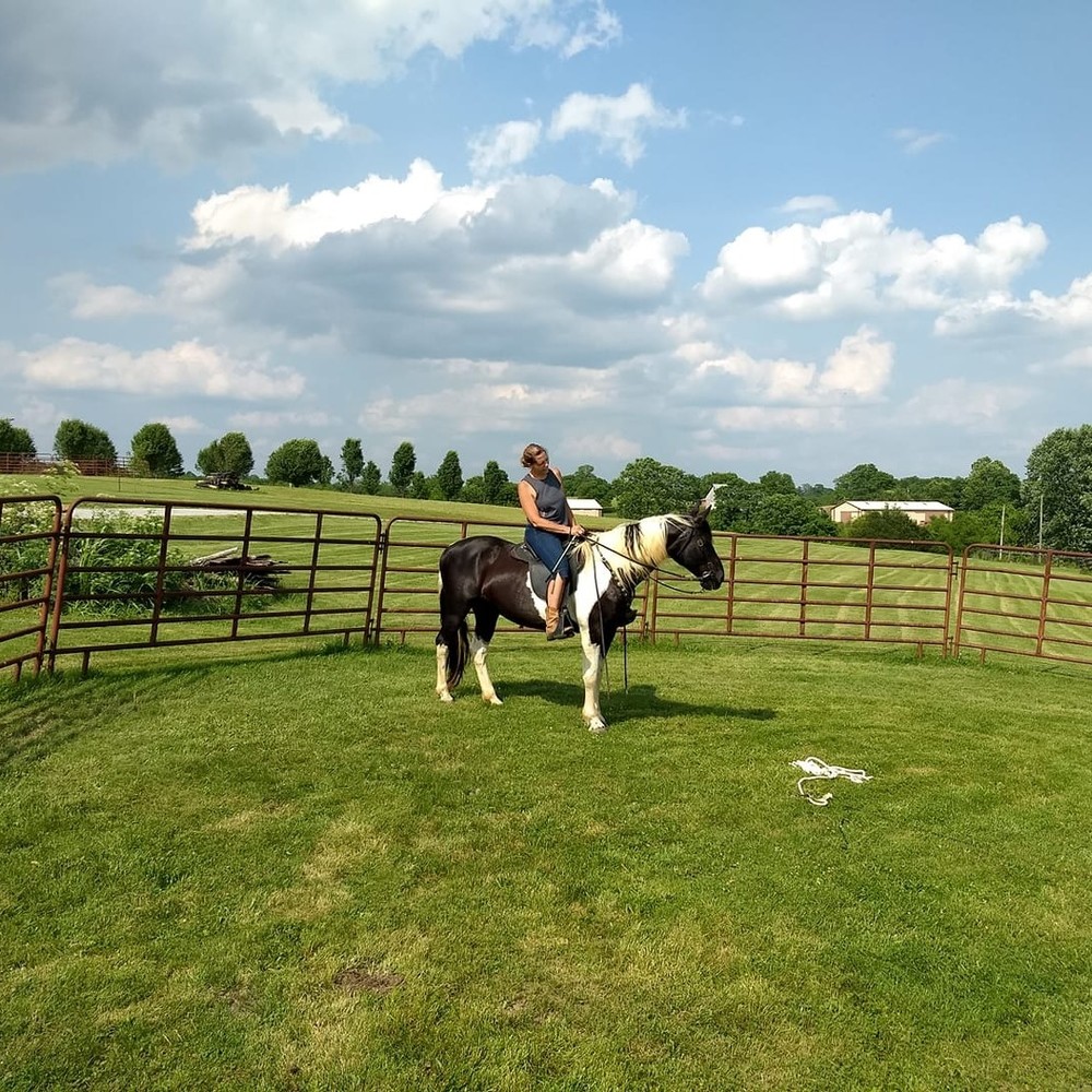 Meet your Posher, Terri